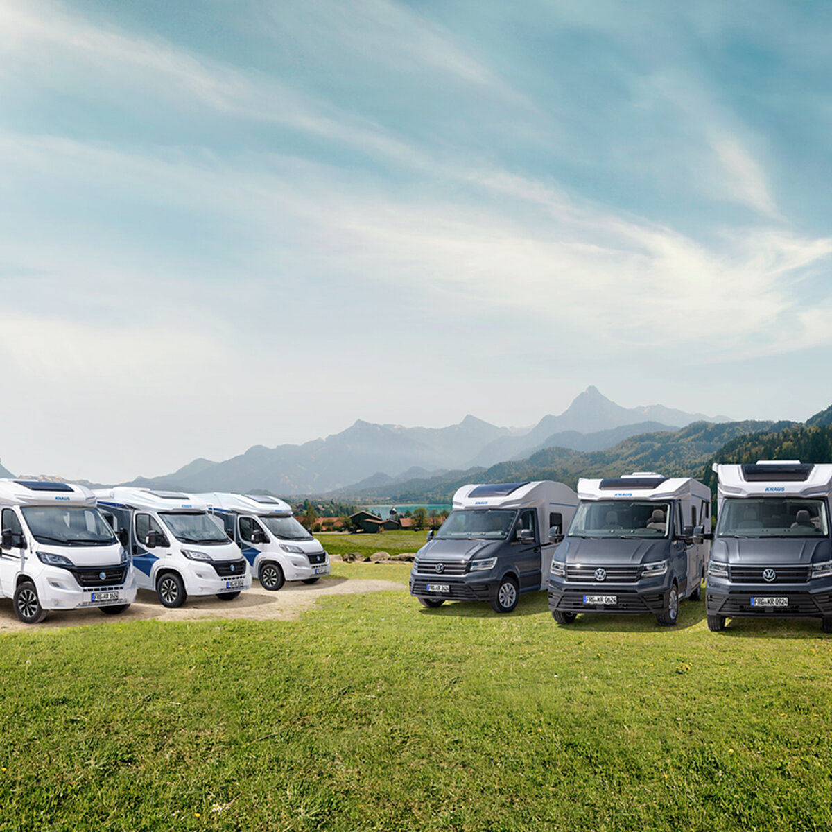 Mehrere Wohnmobile stehen nebeneinander auf einer Wiese.